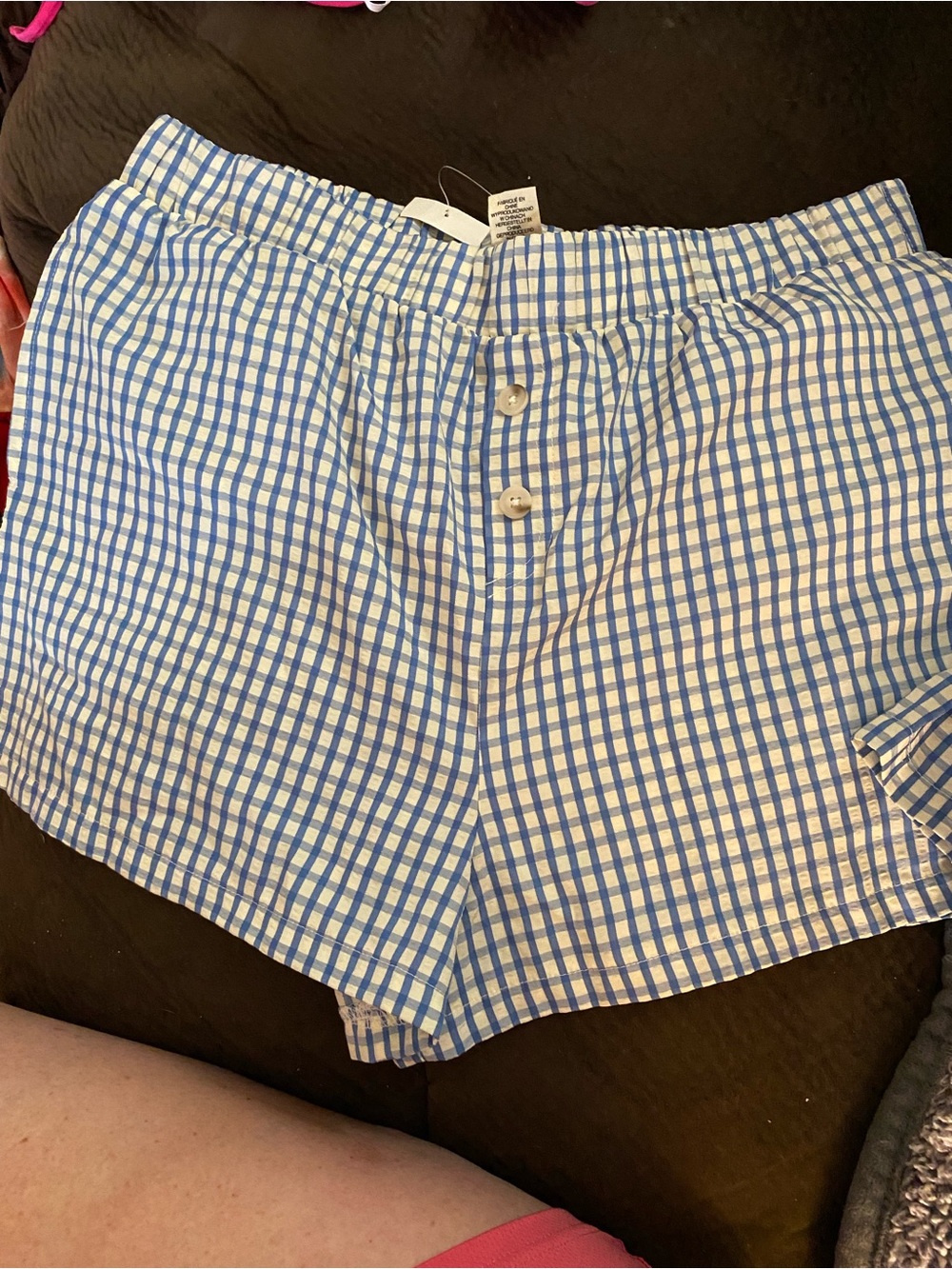 Blue and White Gingham Button-Front Shorts